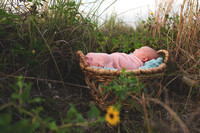 Newborn-Photography-tampa