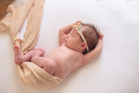 newborn-pictures