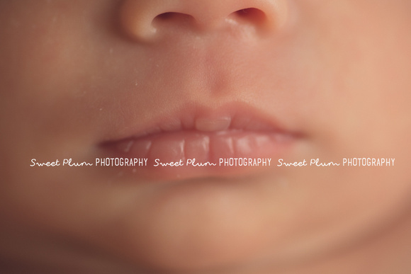 sweet-plum-photography-1457