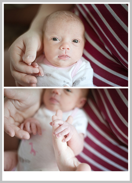 Tampa Baby Photography 
