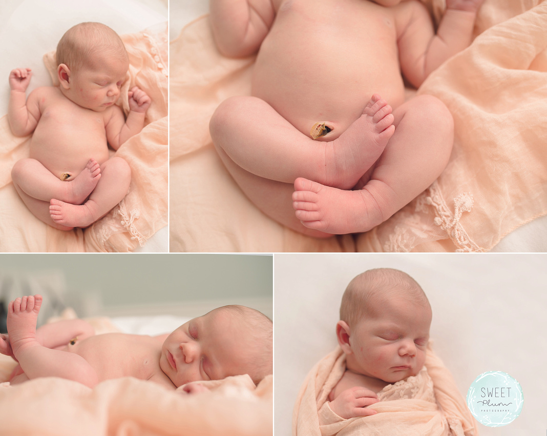 Newborn Baby Photos 