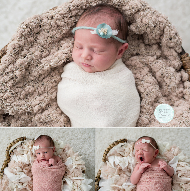 Sweet Plum Photography, Tampa Boudoir, Family, And Newborns | Returning ...