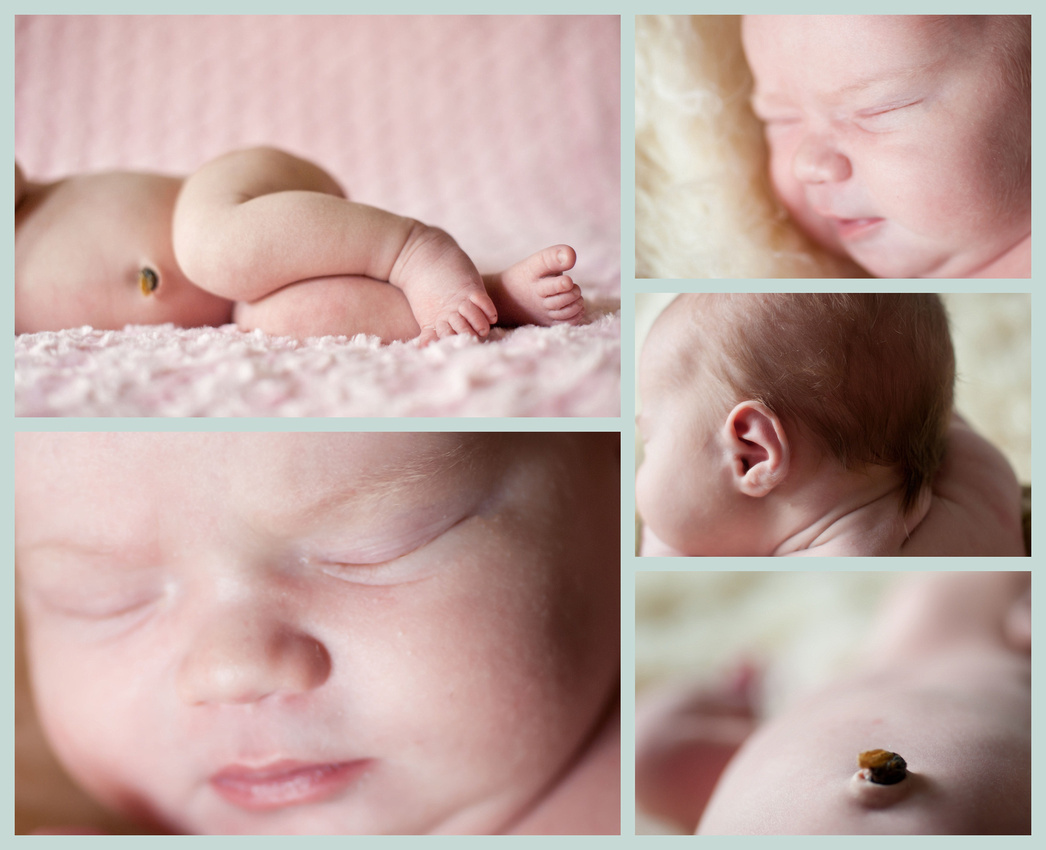 Brandon Newborn Photography